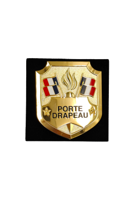 Insigne Porte Drapeau