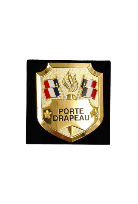 Insigne Porte Drapeau