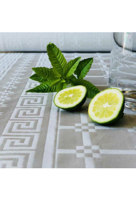 Nappe Damassée 50m