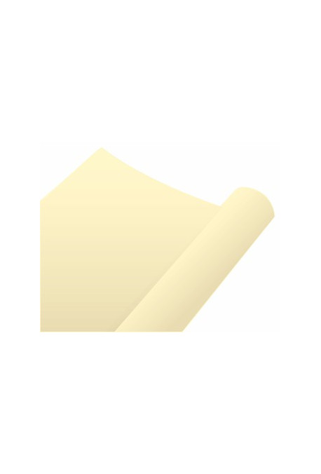 Nappe Intissée Airlaid 25m