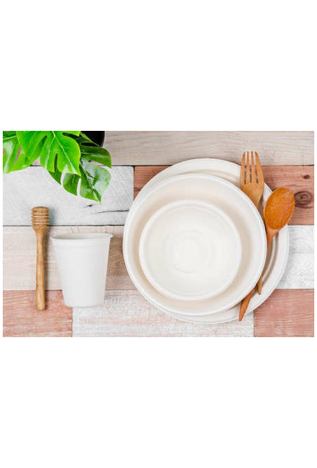 Assiette Fibre Végétale