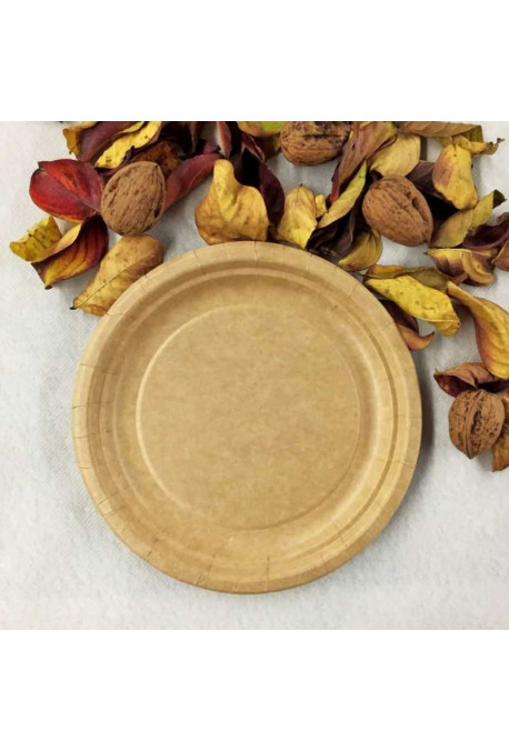 Assiette Carton Pure Pâte