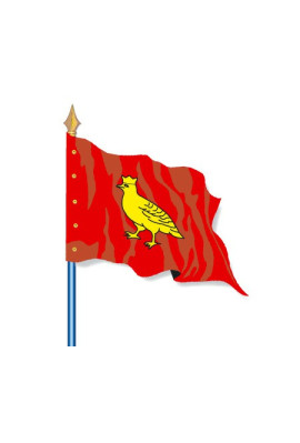 Drapeau Provinces Historiques : Aunis