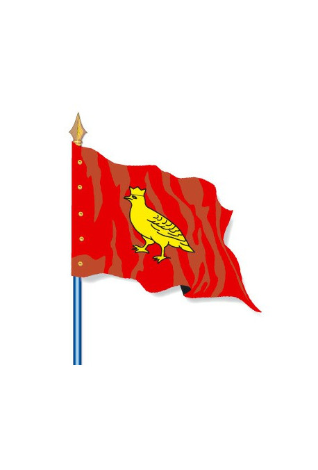 Drapeau Provinces Historiques : Aunis