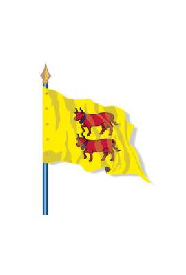 Drapeau Provinces Historiques : Béarn