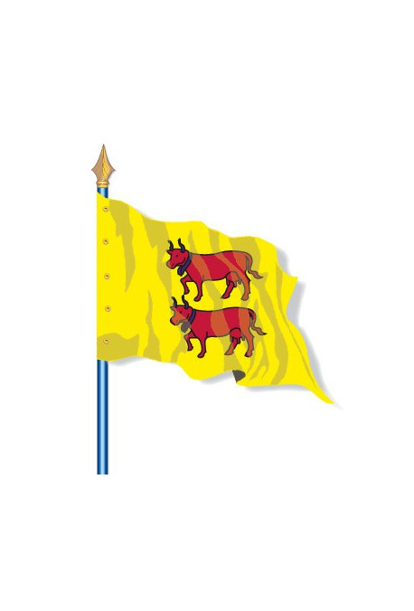 Drapeau Provinces Historiques : Béarn