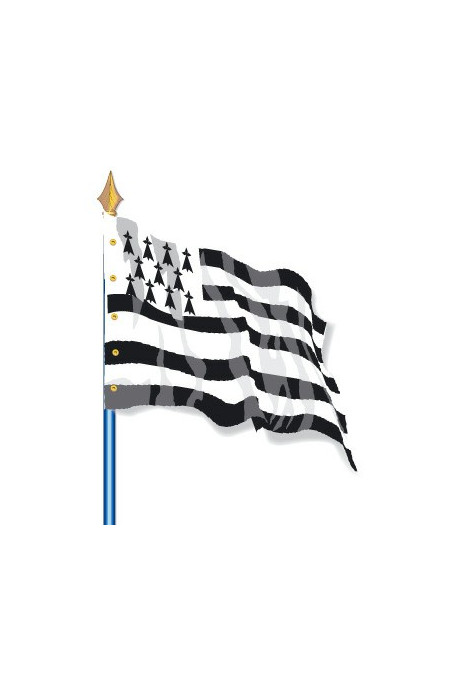 Drapeau Provinces Historiques : Bretagne