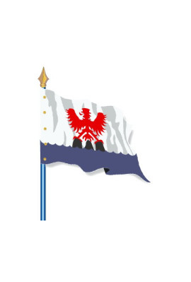 Drapeau Provinces Historiques : Comté de Nice