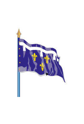 Orléannais : Drapeau Provinces Historiques :