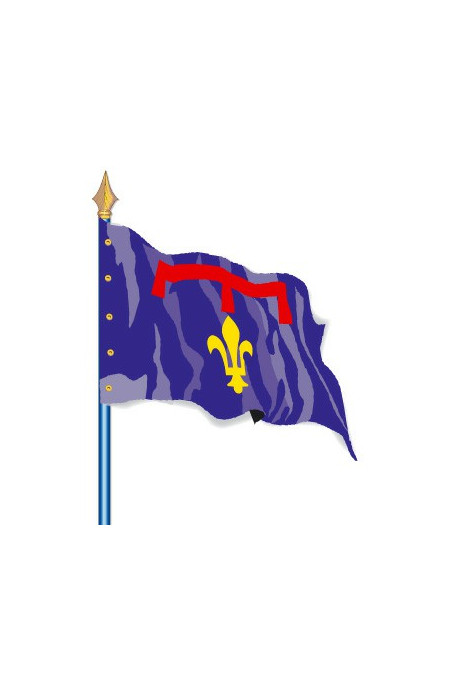 Drapeau Provinces Historiques : Provence Armes
