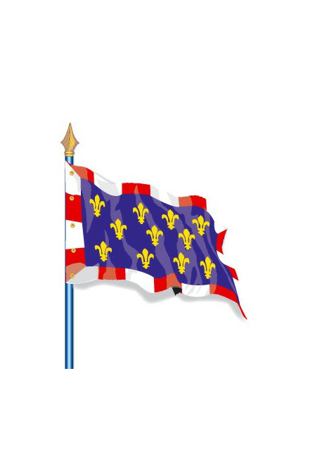 Drapeau Provinces Historiques : Touraine