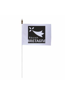 Bretagne : Drapeau Régions Administratives