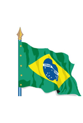Brésil : Drapeau Pays du Monde
