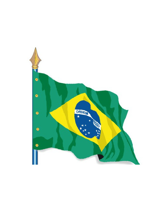 Brésil : Drapeau Pays du Monde
