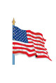 U.S.A : Drapeau Pays du Monde