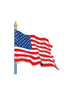 U.S.A : Drapeau Pays du Monde