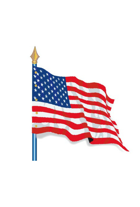 U.S.A : Drapeau Pays du Monde