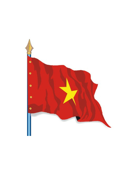 Vietnam : Drapeau Pays du Monde