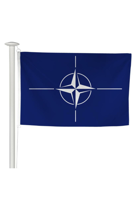 O.T.A.N : Organismes internationaux