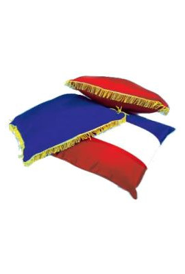 Coussin Inauguration